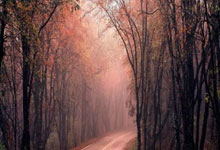 [足球之夜]上海德比：竞争与共赢.