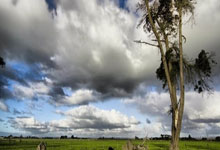 九游会体育：2025年中国协杯资格赛将于今年12月举行.