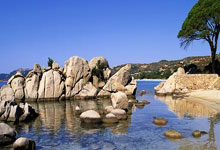 [NBA]塔图姆29+10+8 凯尔特人战胜马刺.